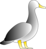 Blank Duck Clip Art
